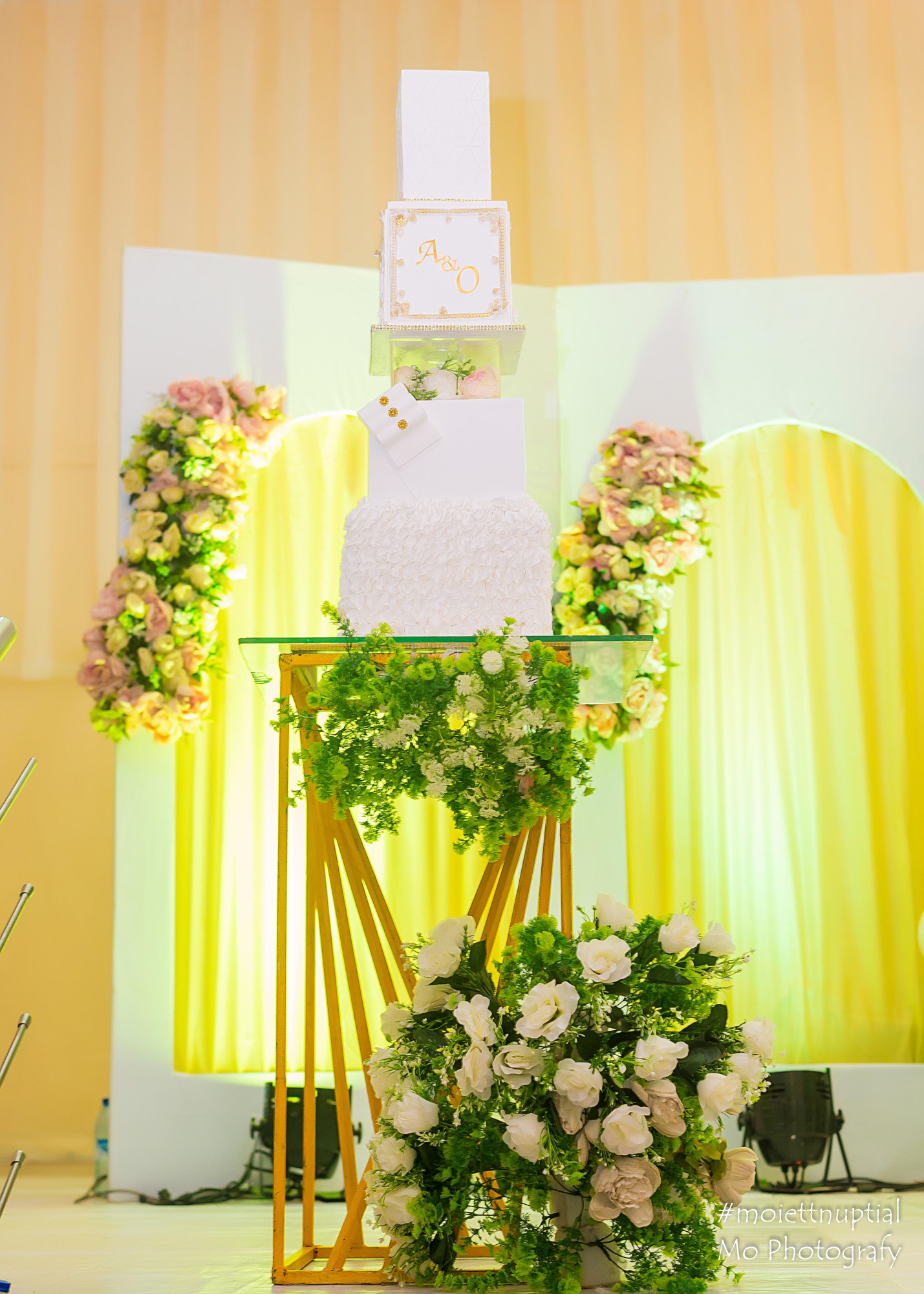 moiettnuptial engagement C (184)